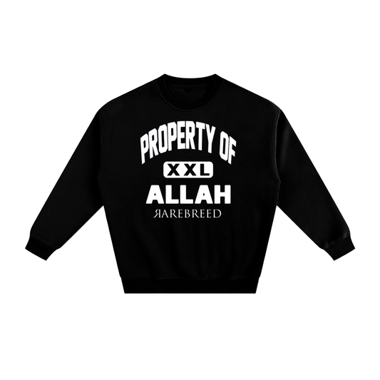 Fleeced Sweatshirt