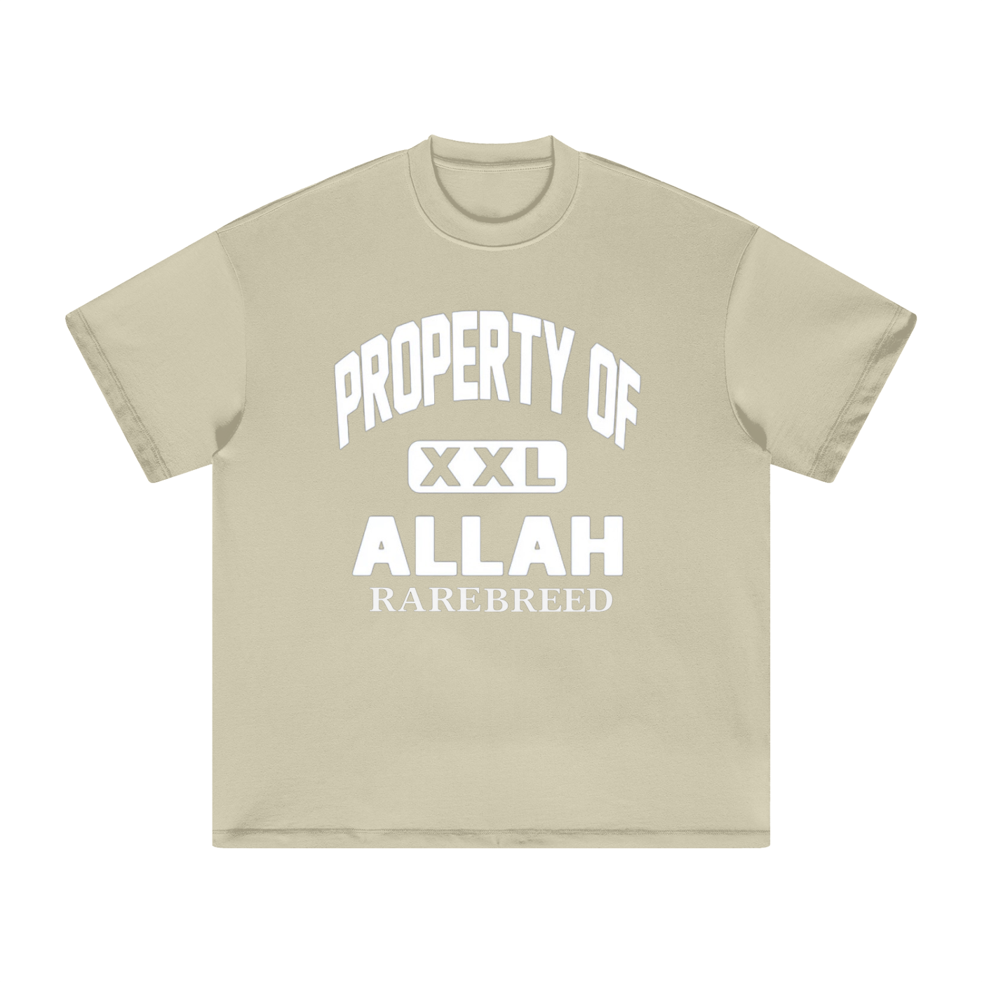 Property Of Heavyweight Earth Tone T-Shirt