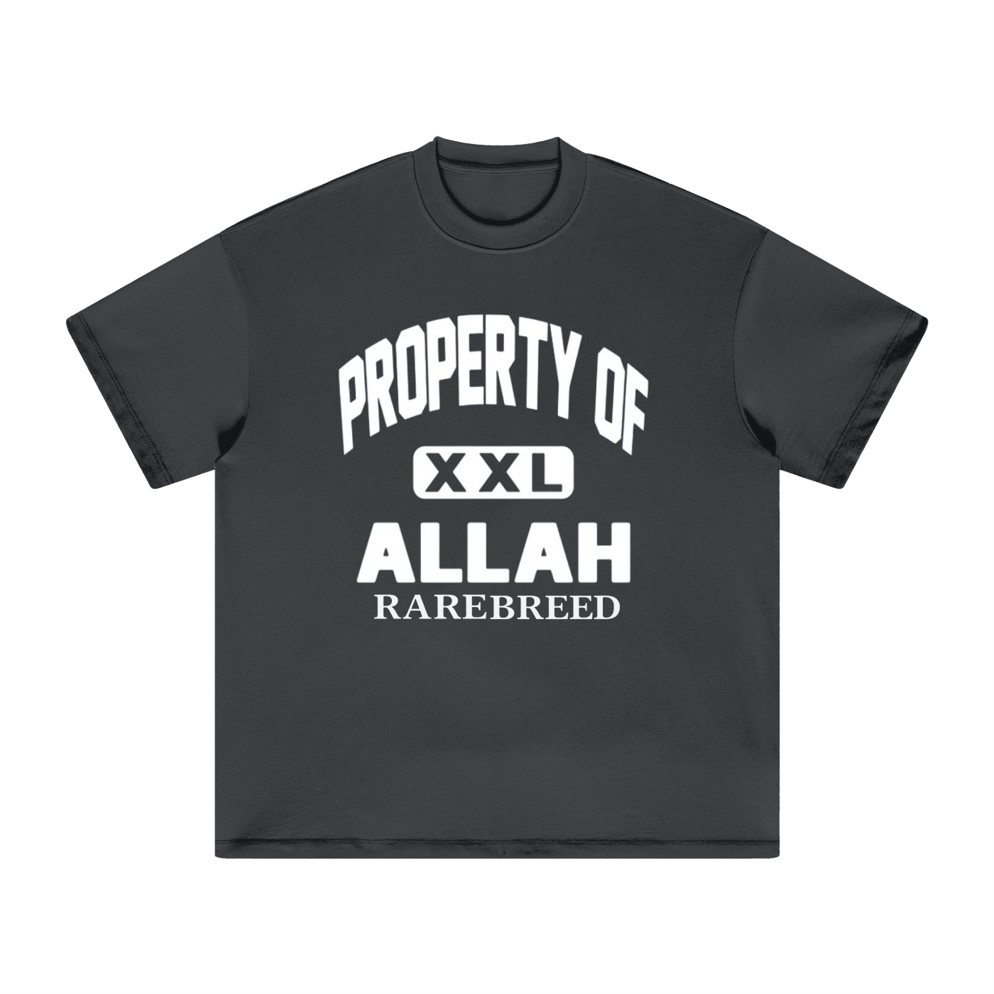 Property Of Heavyweight Earth Tone T-Shirt