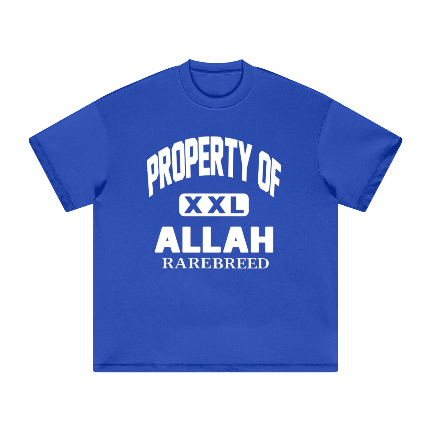 Property Of Heavyweight Earth Tone T-Shirt