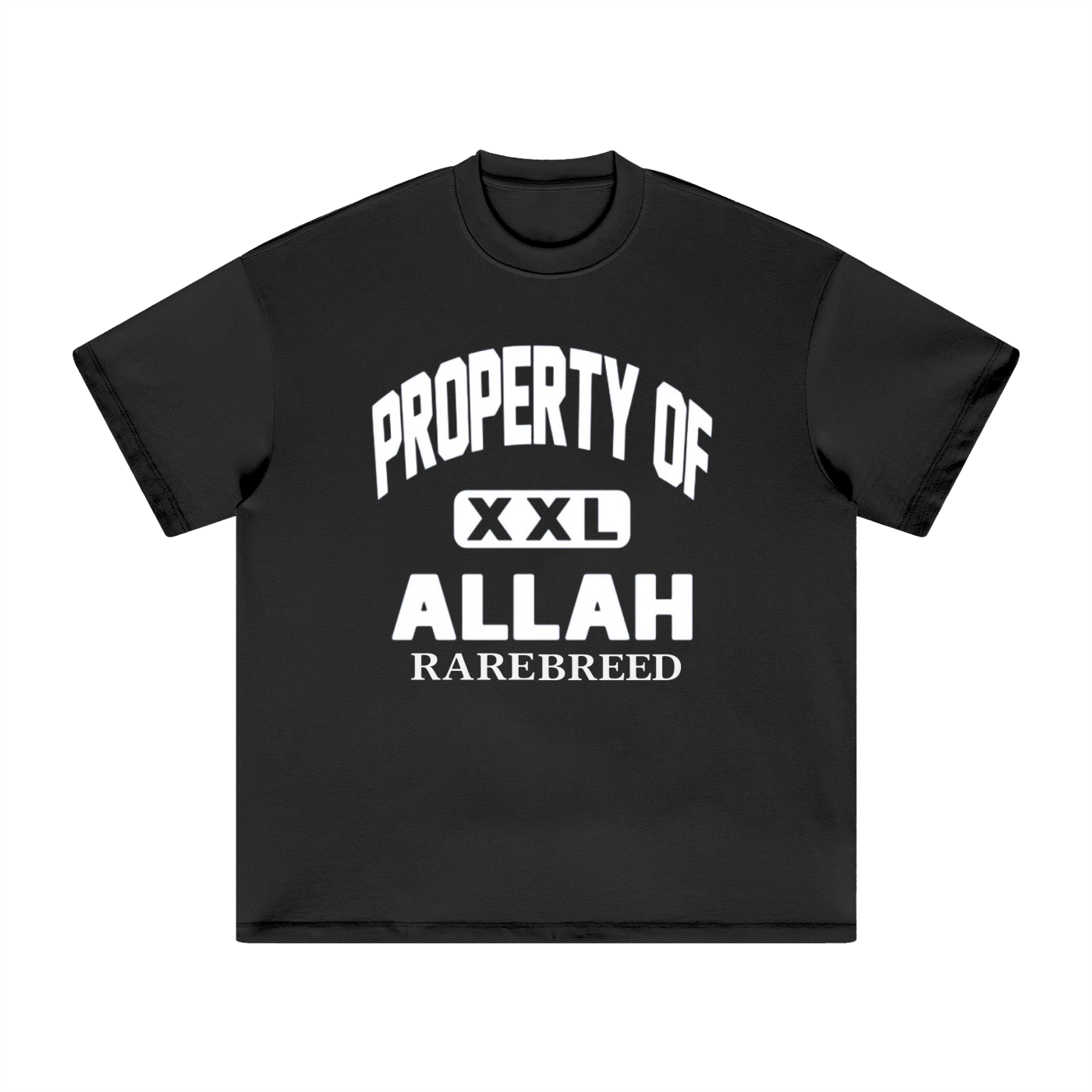 Property Of Heavyweight Earth Tone T-Shirt