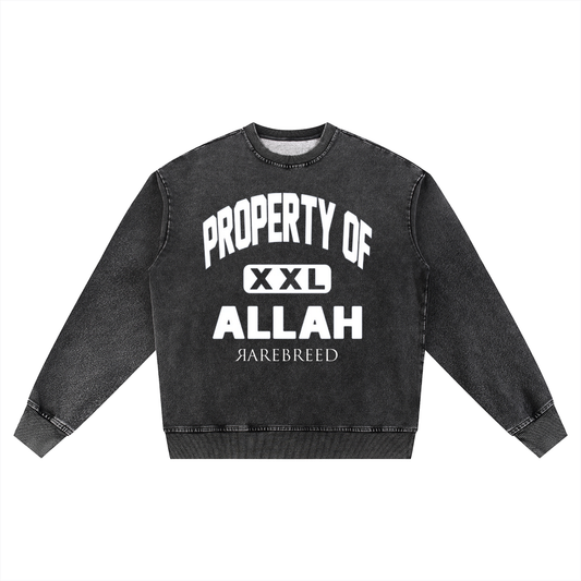 Snow Wash Oversized Crewneck Sweatshirt