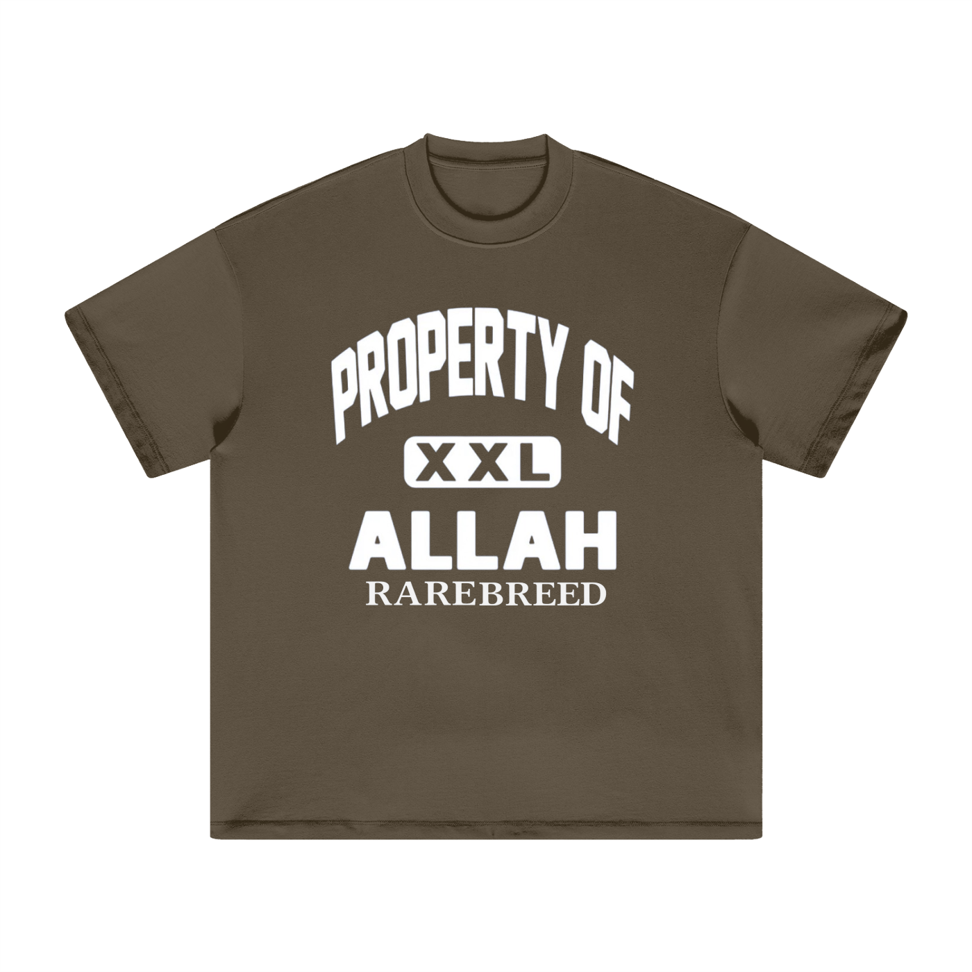 Property Of Heavyweight Earth Tone T-Shirt